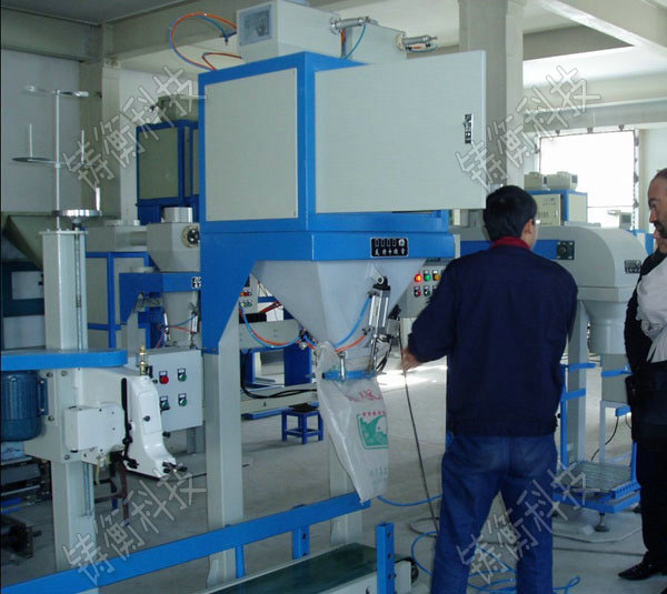 超細(xì)粉自動包裝秤